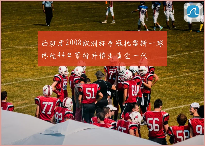 西班牙2008欧洲杯夺冠托雷斯一球终结44年等待并催生黄金一代