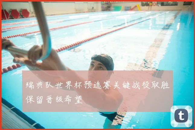 瑞典队世界杯预选赛关键战役取胜保留晋级希望