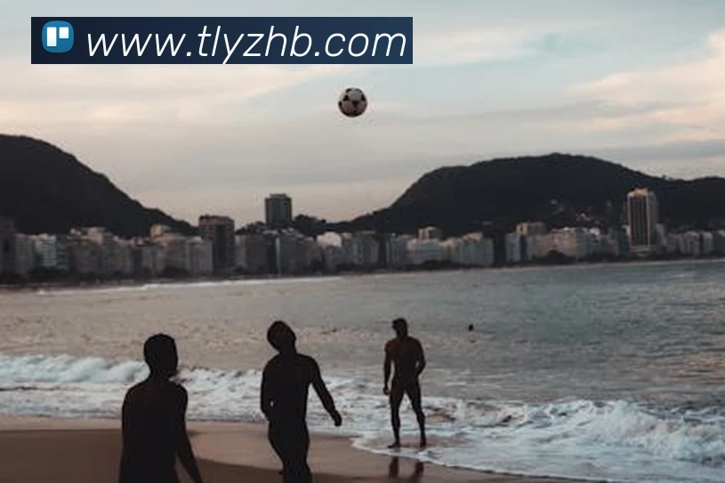 多媒体互动体验